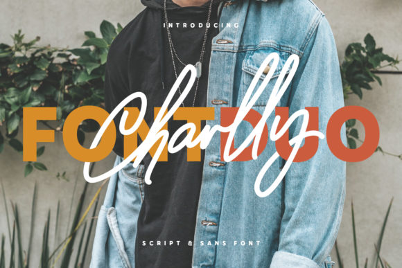Charly: A Premium Display Font for Modern Web Design