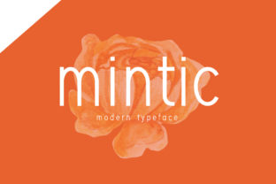 Mintic: A Fresh Display Font for Small Business Branding