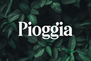 Pioggia: A Playful Display Font for Modern Editorial Design