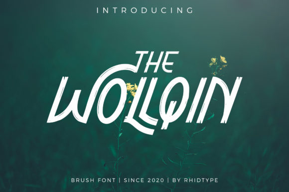 The Wollqin: A Brush Style Display Font for Branding