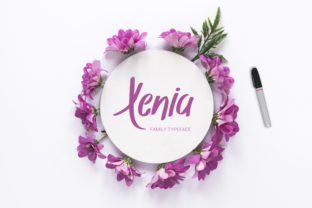 Xenia Family: A Premium Display Font for Branding